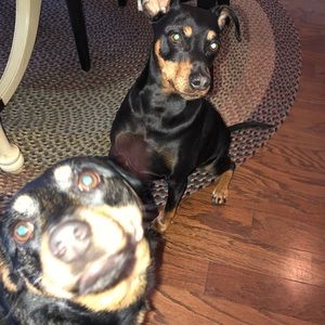 Meet your Posher, Cecilia